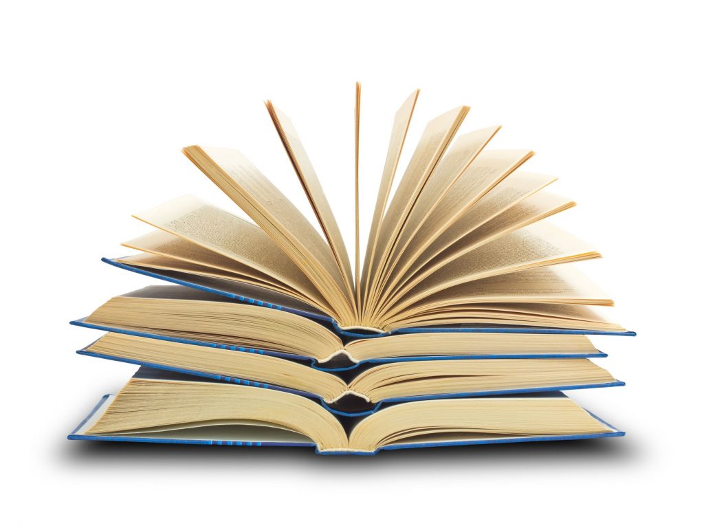 What can you expect to study on a typical business studies programme?