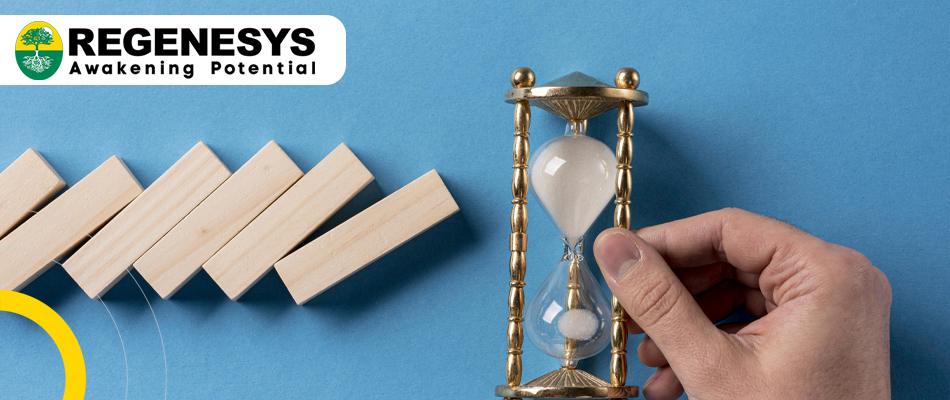 Crisis Leadership: Learning to Lead in Challenging Times with Regenesys MBA