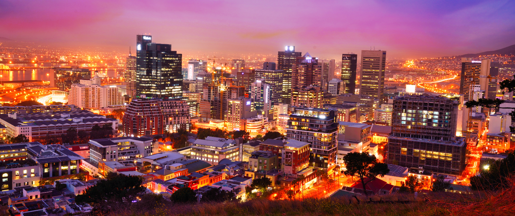 business opportunities in south africa